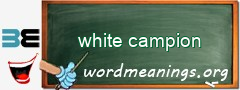 WordMeaning blackboard for white campion